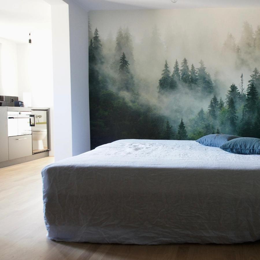 Ni Fravi Holiday Apartments, Interlaken West 外观 照片